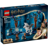 Lego Harija Potera Aizliegtā meža: Burvju radības