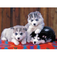 Ravensburger Mīklu 200 gab Huskies