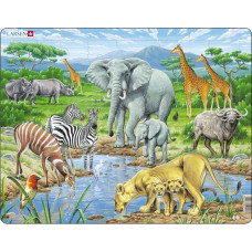 Āfrikas savanna