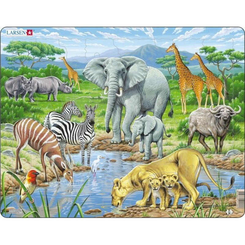 Āfrikas savanna