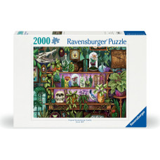 Ravensburger Mīklu 2000 puzle 2000 pcs Burvju ķērāja plaukts