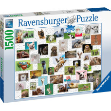 Ravensburger Mīklu 1500 pcs smieklīgi dzīvnieki kolāža