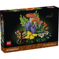 Lego Augu izcelsmes sastāvdaļas – meža sēnes