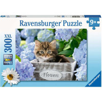 Ravensburger Puzzle 300 pcs bruņurupuču bruņurupucis Kitty