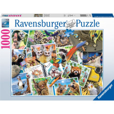 Ravensburger Puzzle 1000 pcs Ceļotāja fotoalbums