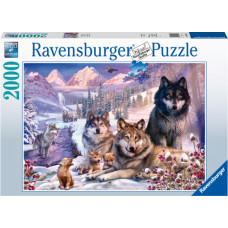 Ravensburger puzle Vilki sniegā, 2000 gab.