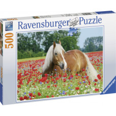 Ravensburger puzle 500.gab. Zirgs magoņu laukā
