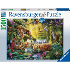 Ravensburger puzle Tīģeri, 1500 gab.