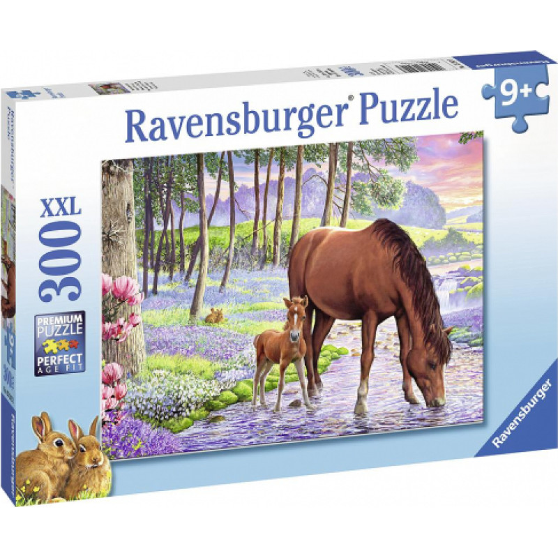Ravensburger puzle 300.gab XXL Rāms saulriets