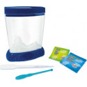 Buki France Jūras mošķi (garneles), Sea monkeys