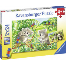 Ravensburger pusle 2x24 tk Koalad ja pandad