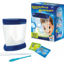 Buki France Jūras mošķi (garneles), Sea monkeys