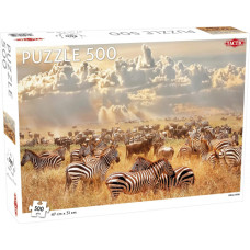 Tactic puzle 500 gab. Zebras