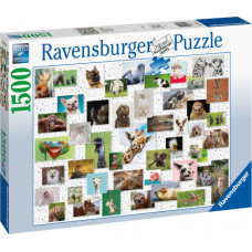 Ravensburger puzle Smieklīgie dzīvnieki, 1500 gab.