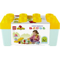 LEGO DUPLO Organic Garden