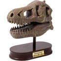 Buki France Buki Dinosaur skull - Tyrannosaurus
