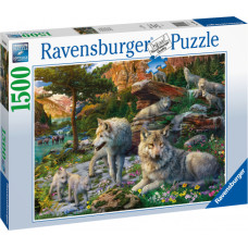 Ravensburger  puzle Vilki, 1500 gab.