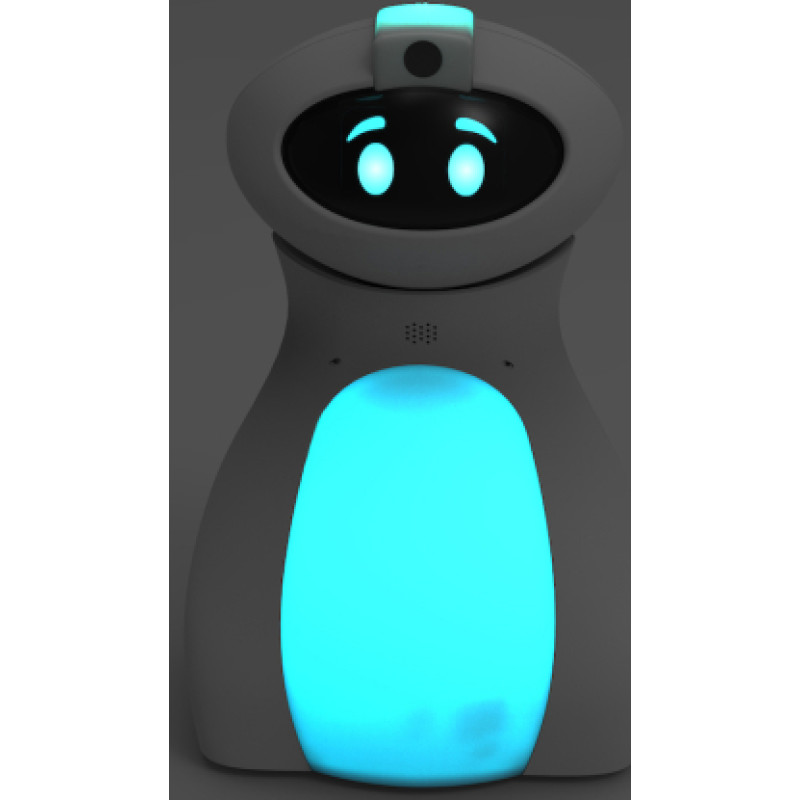 TTS Oti Bot robot