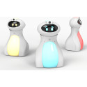 TTS Oti Bot robot